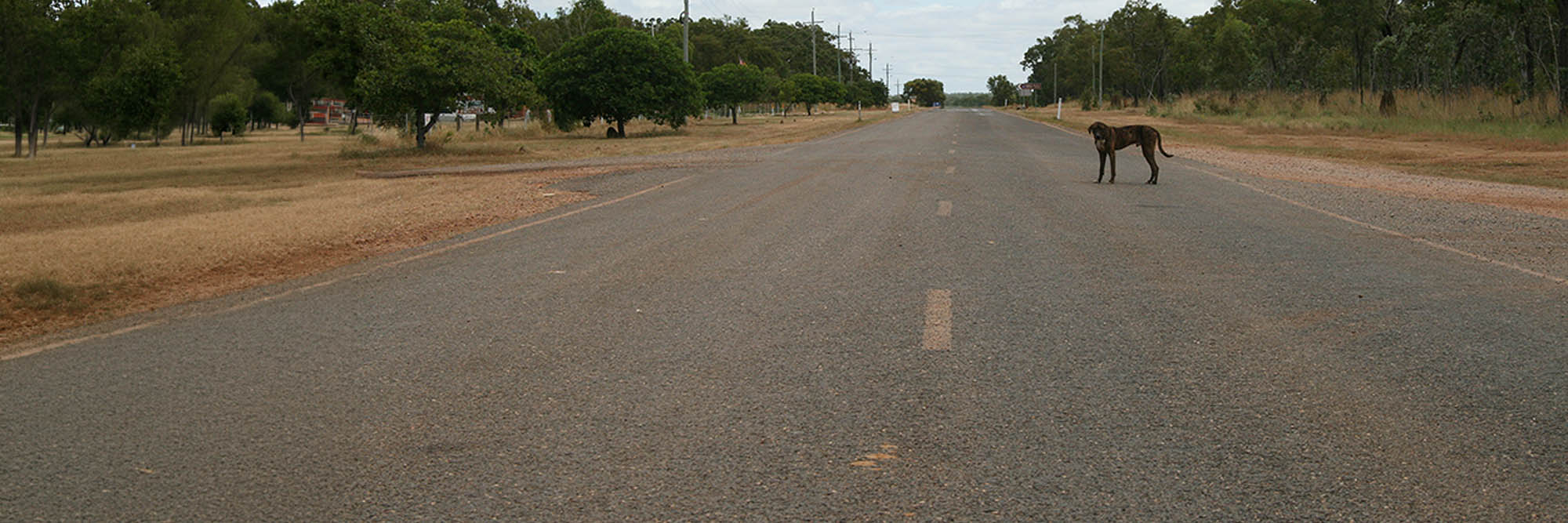 Red dirt road in Cape York country